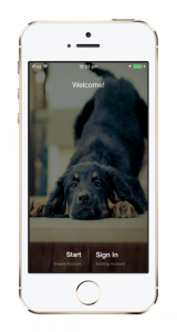 Dog Social Network App