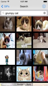 iPhone GIF Explorer App